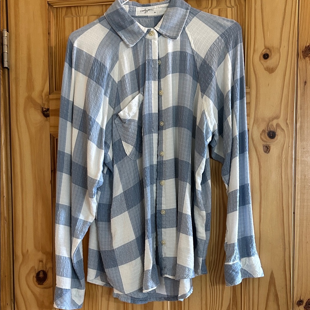 Anthropologie Blue and Cream Checkered Men's Shirt